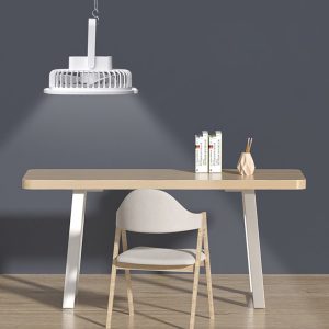 Portable Rechargeable Fan With Light