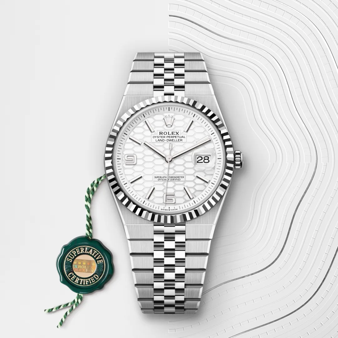 Rolex Land‑Dweller Watch (Original) - Image 4